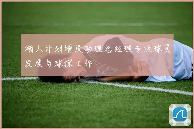 湖人计划增设助理总经理专注球员发展与球探工作